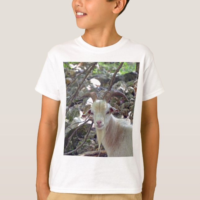 T-shirt Billy Goat (Devant)