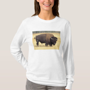 T-shirt Bison mâle dans le parc national de Yellowstone