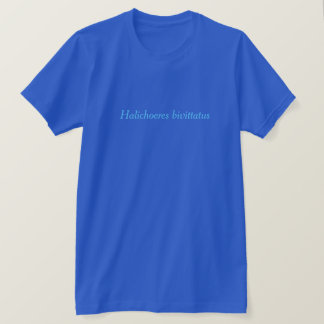 T-shirt Bivittatus de Halichoeres