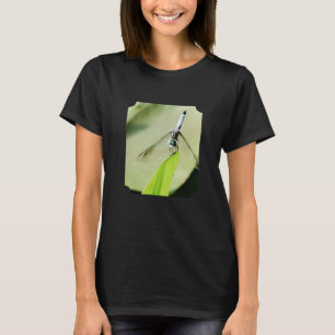 T-shirt Blue Dragonfly green leaf Nature Photo