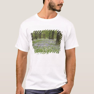T-shirt Bluebells et chênes au printemps, Little Hagley