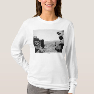 T-shirt Bois mort comme vu de la photographie blanche de