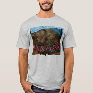T-shirt Boomer 006, pourquoi je ?