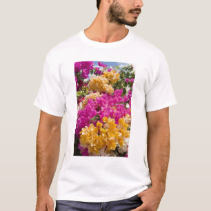 T-shirt Bouganvilleau, Cayman Brac, îles Caïmanes,
