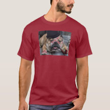 Bouledogue avec le tuyau de tabagisme de moustache