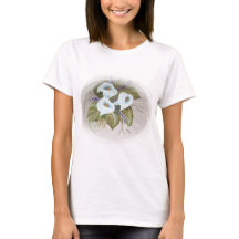 Bouquet d'aquarelle de callas blanches