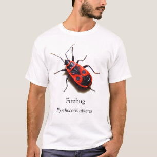 T-shirt BOYB Firebug