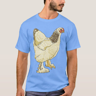 T-shirt Brahma Chicken