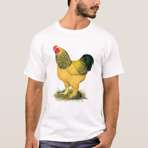 T-shirt Brahma : Rooster Buff