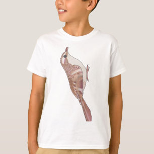T-shirt Brown Creeper espèces d'oiseaux