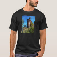 Brown et crème Couleur Cheval bleu ciel