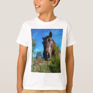 T-shirt Brown et crème Couleur Cheval bleu ciel