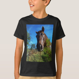 T-shirt Brown et crème Couleur Cheval bleu ciel