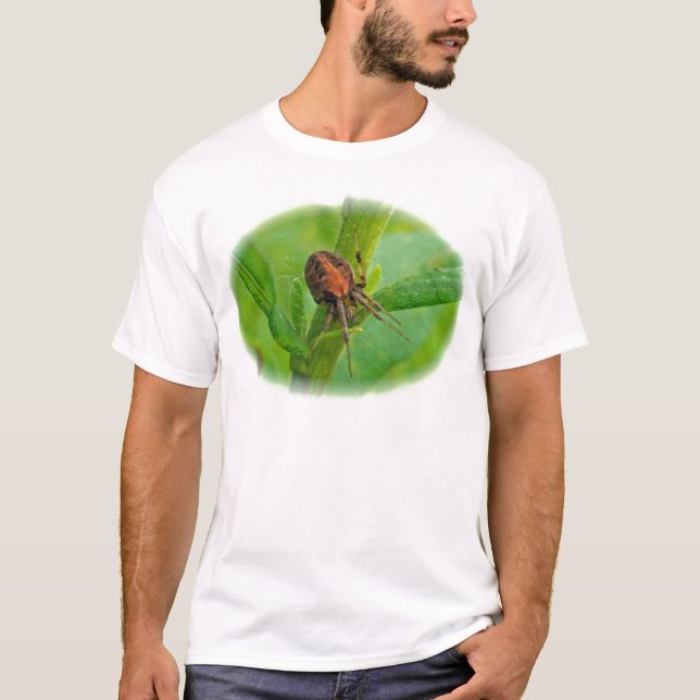 T - Shirt Brown Orange Araneus (Vorderseite)