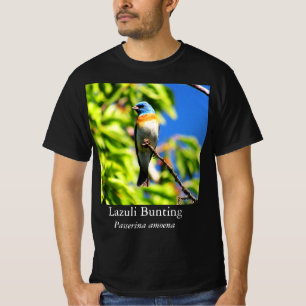 T-shirt Bruant azuré