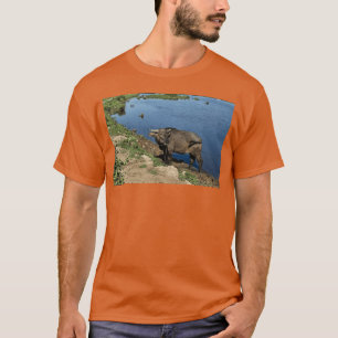 T-shirt Buffles authentiques du Vietnam et rizières