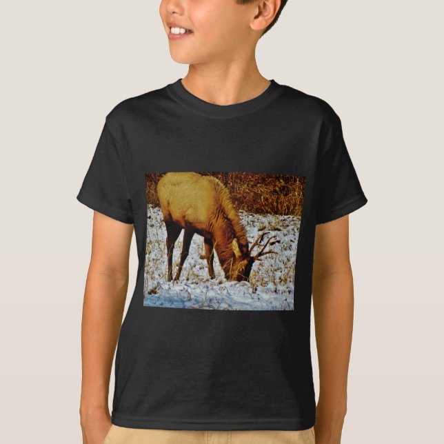 T-shirt Bull Elk à Snow. (Devant)