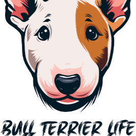 T-shirt Bull Terrier