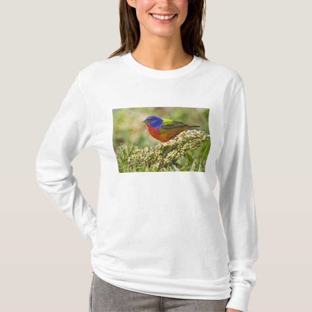 T-shirt Bunting peint (Devant)