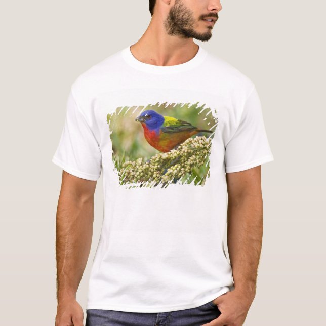 T-shirt Bunting peint (Devant)