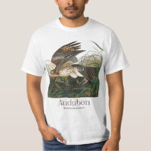 Buse à épaulettes par John James Audubon