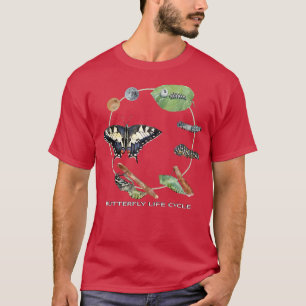 T-shirt Butterfly Life Cycle Insect 4 Stage Special Waterc