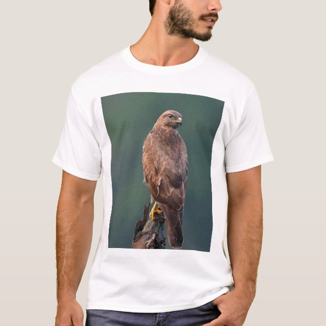T-shirt Buzzard de l'Himalaya, foncé/rufous morph, jeune (Devant)