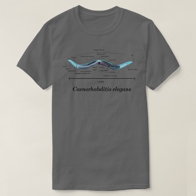 T-shirt C Elegans Anatomical Diagram  (Design devant)