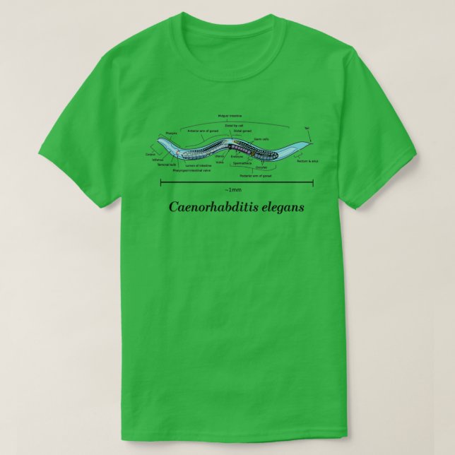 T-shirt C Élegans Diagramme anatomique (Design devant)