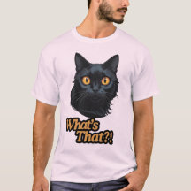 C’est quoi, ça ? ! Chat noir surpris aux yeux oran