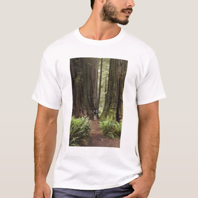 T-shirt CA, Jedediah Smith Redwoods State Park, (Devant)