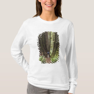 T-shirt CA, Jedediah Smith Redwoods State Park,