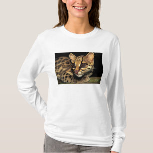 T-shirt CA, Panama central, Soberania NP, Margay 2