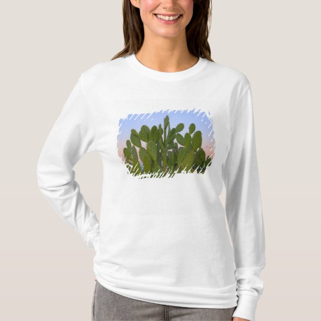 T-shirt Cactus et sisal dans la forêt sèche (Devant)