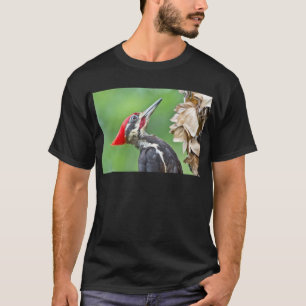 T-shirt Cadeaux de vêtements de profil de Pic épeiche juvé