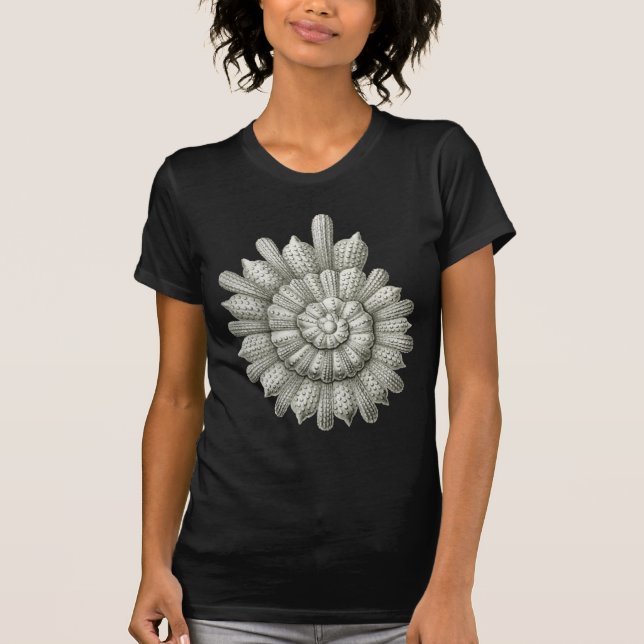 T-shirt Calcarina clavigera Ernst Haeckel (Devant)