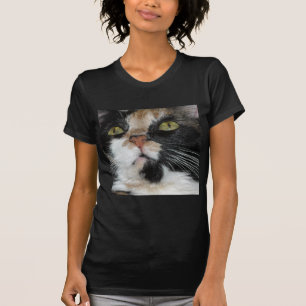 T-shirt Calico Cat