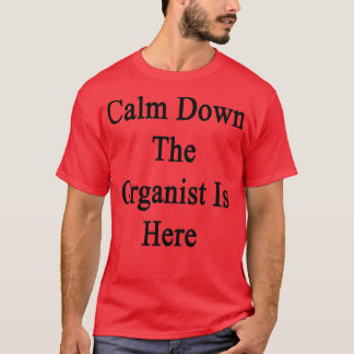 T-shirt Calme Au Bord De L'Organiste