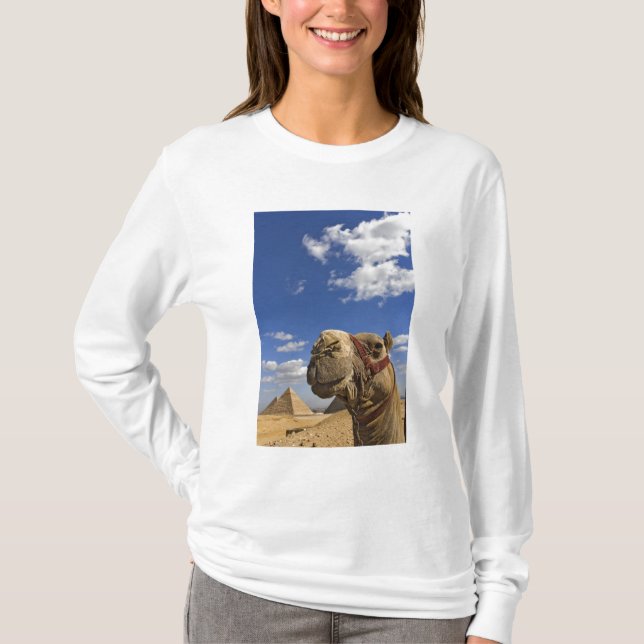 T-shirt Camel devant les pyramides de Gizeh, Egypte, (Devant)