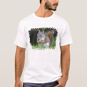 T-shirt Canada, Colombie-Britannique, Pin Écureuil roux