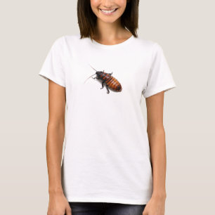 T-shirt Cancrelat de sifflement du Madagascar