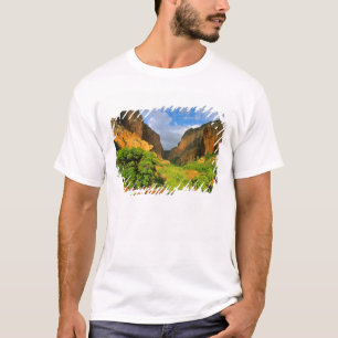 T-shirt Canyon de Kolob à Zion Canyon, dans le pays de Si