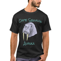 Cape Seniavin, Alaska Walrus