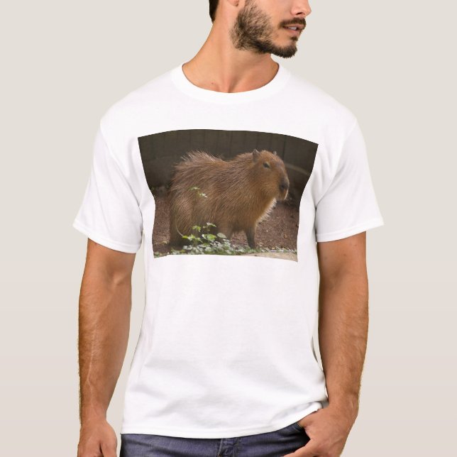 T-shirt Capybara (Devant)
