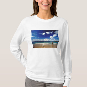 T-shirt Caraïbes, Petites Antilles, Indes occidentales, 2