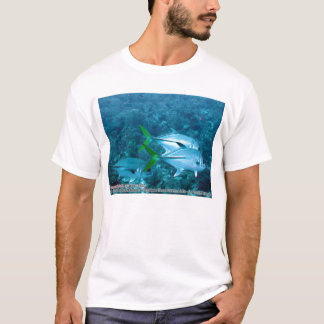 T-shirt Caranx Lugubris (crics noirs)
