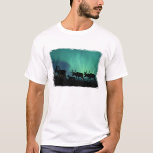 T-shirt Caribou et lumières du nord