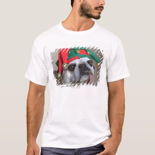 T-shirt Carlin de regard drôle avec la langue traînant