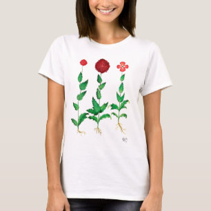 T-shirt Carnation italienne 2