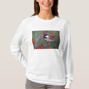 T-shirt Carolina Chickadee